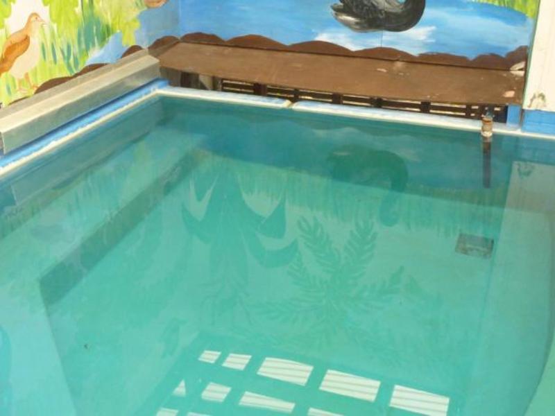 Fernleaf Motel Ροτόρυα Εξωτερικό φωτογραφία